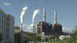 OzodNazar: Тошкент кесилган дарахтлар уволига қолди
