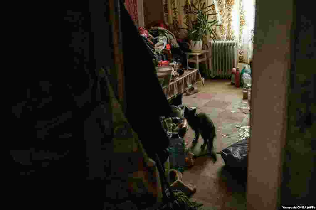 Волонтери досі намагаються евакуювати тих, хто не виїхав. 90-річного Івана Солов&rsquo;янкова, пенсіонера, який живе в цій квартирі зі своїм котом, зрештою вдалося переконати