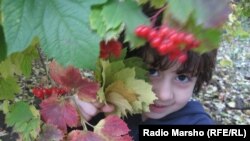 Соьлж-ГIала -- Бераш духкуш хиллачу зуламхойн тоба лаьцна Нохчийчохь.