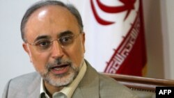 علی اکبر صالحی، رئیس سازمان انرژی اتمی ایران