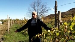 Գինու արտադրություն Տավուշի Կողբ գյուղում՝ սահմանից մի քանի հարյուր մետր հեռու