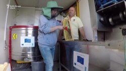 Грант ЕС и море меда