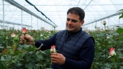 Գործարարը պնդում է՝ բիզնես հիմնելիս խնդիրները հաղթահարում են, արտահանման հարցում՝ թևաթափ լինում