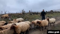 Местные жители в основном занимаются животноводством и земледелием