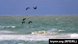 За словами обмудсмена, така ситуація наразі спостерігається насамперед на Арбатській стрілці, яка межує з анексованим Кримом