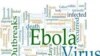 Полгода нужно на то, чтобы взять под контроль эпидемию лихорадки Эбола