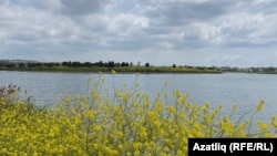 Камил Абдүш күле