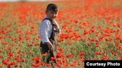 "Meniň çagalygymyň asmany" filminde Nazarbaýewiň ýaşlykdaky keşbi suratlandyrylýar.