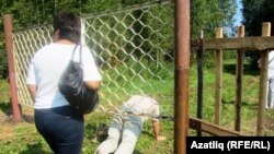 2016 елгы "Искер җыен"да "Шәехләр аллеясы"на бару өчен үрмәләп керергә мәҗбүр булдылар