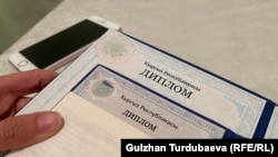 Иллюстрациялык сүрөт.