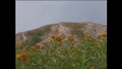 Башкортстан министры шиханнарның кагылгысызлыгын белдерде