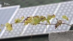 Енергонезалежний будинок власними руками: досвід запорожця Олега Павловського (відео)