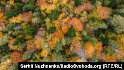 В Україні наразі триває метеорологічне літо. Ілюстративне фото 