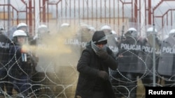 Беларус-поляк чек арасындагы европалык түспөлдөгү чагымчылар.