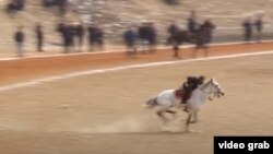 Саҳнаи ром карда сари аспи маст нишастани Достон Усмонов дар шабакаҳои иҷтимоӣ миллионҳо тамошобин овард 