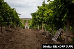 Частина російської ракети (праворуч) на одній з виноробень півдня України