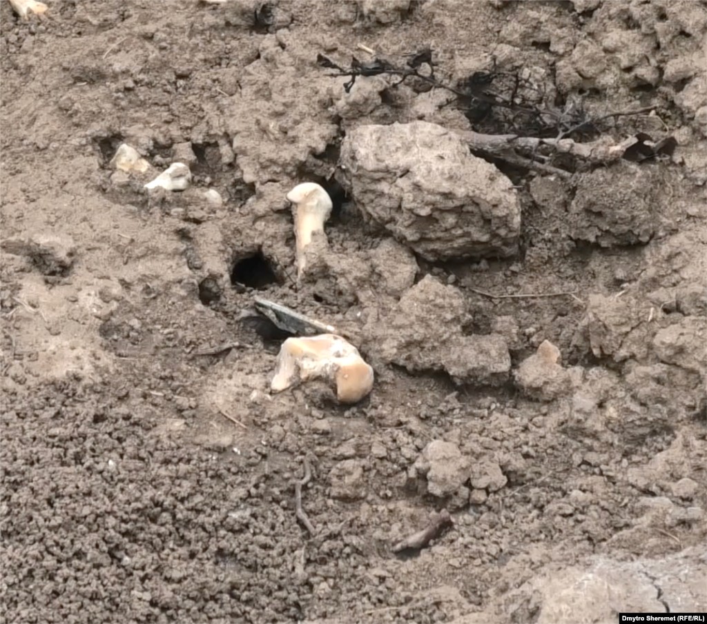 Жителі Правдиного розповідають, що в могилі ще знаходять людські кістки