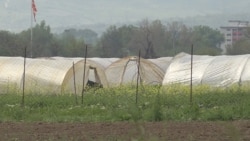 Ýyladyşhana eýeleri, gaz hünärmenleri mümkin dildüwşük hadysalary boýunça derňelýär