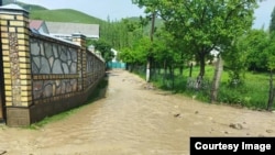 Кыргызстанда жаз жана жайдын алгачкы айы жаанчыл болгондуктан өлкөнүн дээрлик бардык аймагында сел жүрдү.