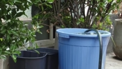 Ош: Тамчы таза сууга зар болгон шаардыктар 