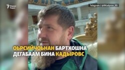 Казахстанехь нохчий дIабохорах дагадаийтина Кадыровна 