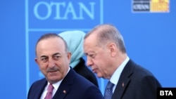 Չավուշօղլու և Էրդողան