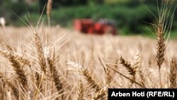 Лише протягом поточного тижня в Херсонській області фіксувалися пожежі в лісах та на полях, спричинені обстрілами (фото ілюстраційне)