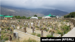 Ahal welaýatynyň Bäherden etrabynyň Nohur geňeşliginde ýerleşýän Nohur gonamçylygy. Illýustrasiýa suraty.