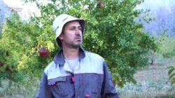 Дар Дарвоз боғе бунёд кардаанд, ки дар дигар ҷой нест
