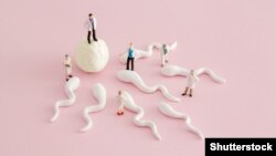 Иллюстративное фото