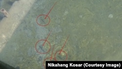 ماهی‌های کوچکی یکی از حوضچه‌های آب ورودی از دریا در تاسیسات آب‌شیرین‌کن سورک-اسرائیل