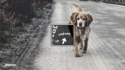 جاده فرعی ۱۱۴