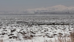 Ծրագրի մեկնարկից երեք տարի անց ապահովագրվել է Հայաստանի մշակովի հողատարածքների միայն մոտ մեկ տոկոսը