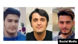 عرشیا تک‌دستان (تصویر چپ)، مهدی محمدی‌فرد (تصویر راست) و جواد روحی (تصویر وسط)