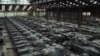 Dozens of German-made Leopard 1 tanks are seen in a hangar in Tournais, Belgium.