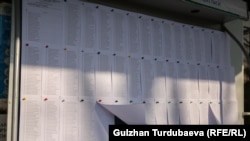 Кыргызстанда өткөн шайлоодогу добуш берүүчүлөрдүн тизмеси. Архив.