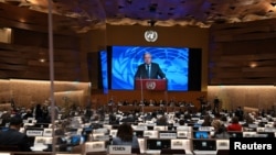 Շվեյցարիա - ՄԱԿ-ի Մարդու իրավունքների խորհրդի նստաշրջանը Ժնևում, արխիվ