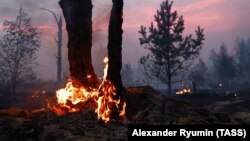 Иллюстрациялык сүрөт.