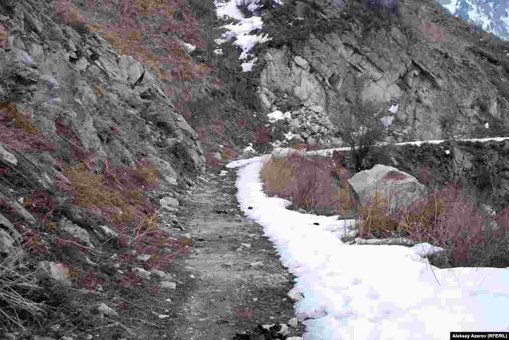 В склон горы Большого Алматинского ущелья &laquo;вгрызается&raquo; многокилометровая дорога. Местные горные туристы называют ее &laquo;японской&raquo;. Но точно неизвестно, каково было участие пленных в ее строительстве. В любом случае след японских пленных отразился в этом неофициальном топониме. Алматы. 2 марта 2015 года.