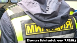 Иллюстрациялык сүрөт.
