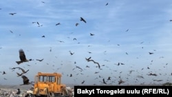 Бишкектин таштанды жайы өтө оор абалда.