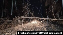 Мокры сьнег і моцны вецер назіралі і ў красавіку 2022 году. Ілюстрацыйнае фота