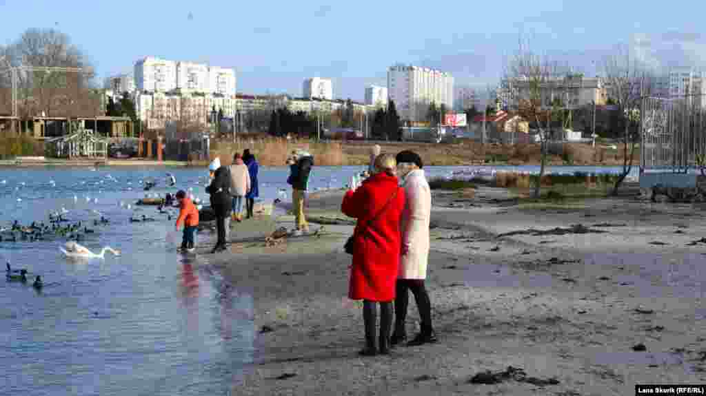 Дівчата фотографують &laquo;пташиний базар&raquo;
