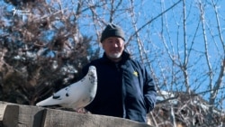 “Чек арада окко учкан уулум көгүчкөн болуп кайтып келгендей...” 
