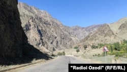 Акс аз бойгонӣ