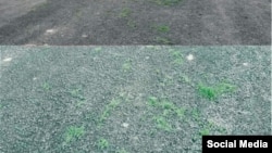 Жаңы төшөлгөн асфальт. Баткен. 