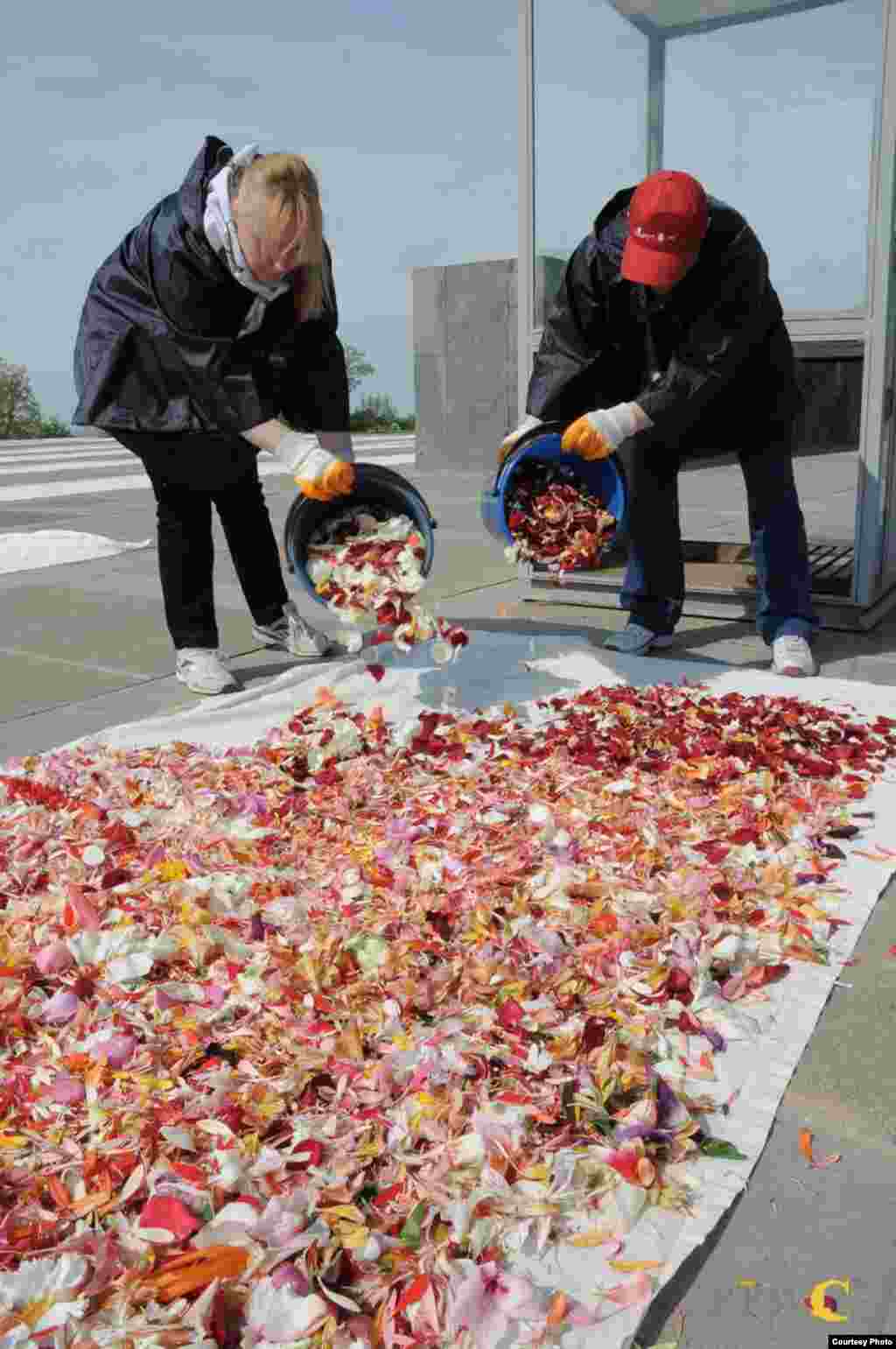 Լուսանկարները` Վայրի բնության եւ մշակութային արժեքների պահպանման հիմնադրամի