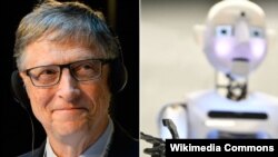 بیل گیتس، بنیان‌گذار شرکت مایکروسافت