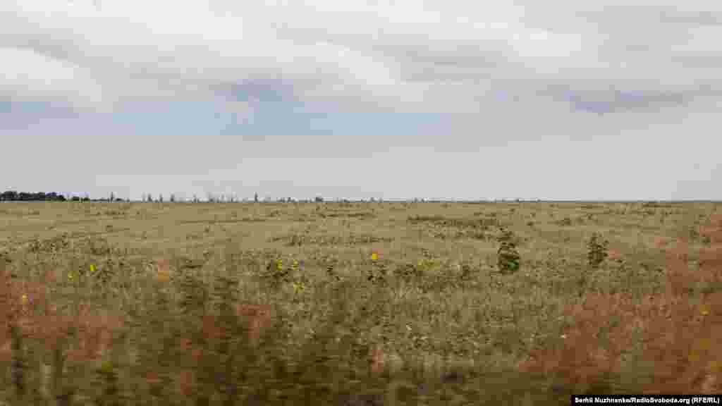 На горизонті видніються незібрані поля пшениці