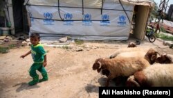 Сирійський хлопчик у таборі для біженців у ліванському місті Заграні, червень 2018 року. За даними ООН, кожен шостий сучасний біженець знайшов притулок у Лівані